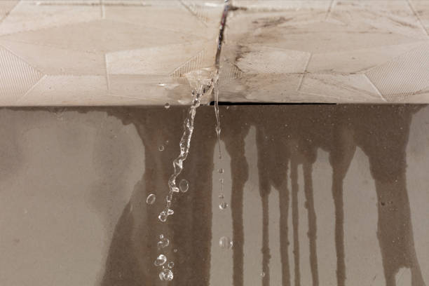 Professional Burst Pipe Cleanup technician working in Trafford, AL